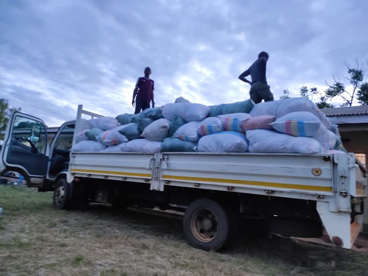 Hoho Action Plus Organization writes to inform